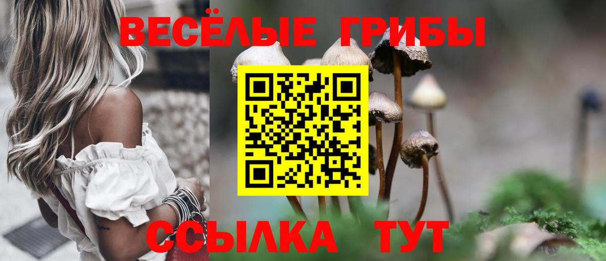 Галлюциногенные грибы GOLDEN TEACHER Южноуральск
